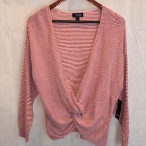 NWT A.n.a. Tris Front Deep V-Neck Sweater | Size L